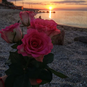 Meet your Posher, Nayeli